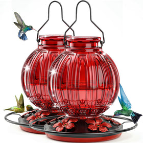 Grete Gotye hummingbird feeder front view in red glass with five ports for backyard delight.