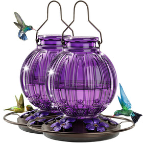 Grete Gotye glass hummingbird feeder, outdoor 2-pack, ideal year-round backyard feeding