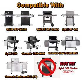 Grill ValueParts even heat distribution on Spirit II grates for consistent searing