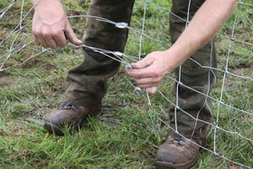 GRIPPLE wire joiner medium applied to a fence line with taut wire for strong spans.