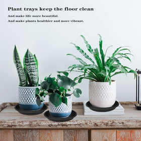 Grjoprt durable plastic plant tray keeps moisture contained