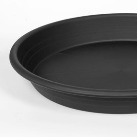 Grjoprt 10-inch planter saucer, six-pack, ready for gifting.