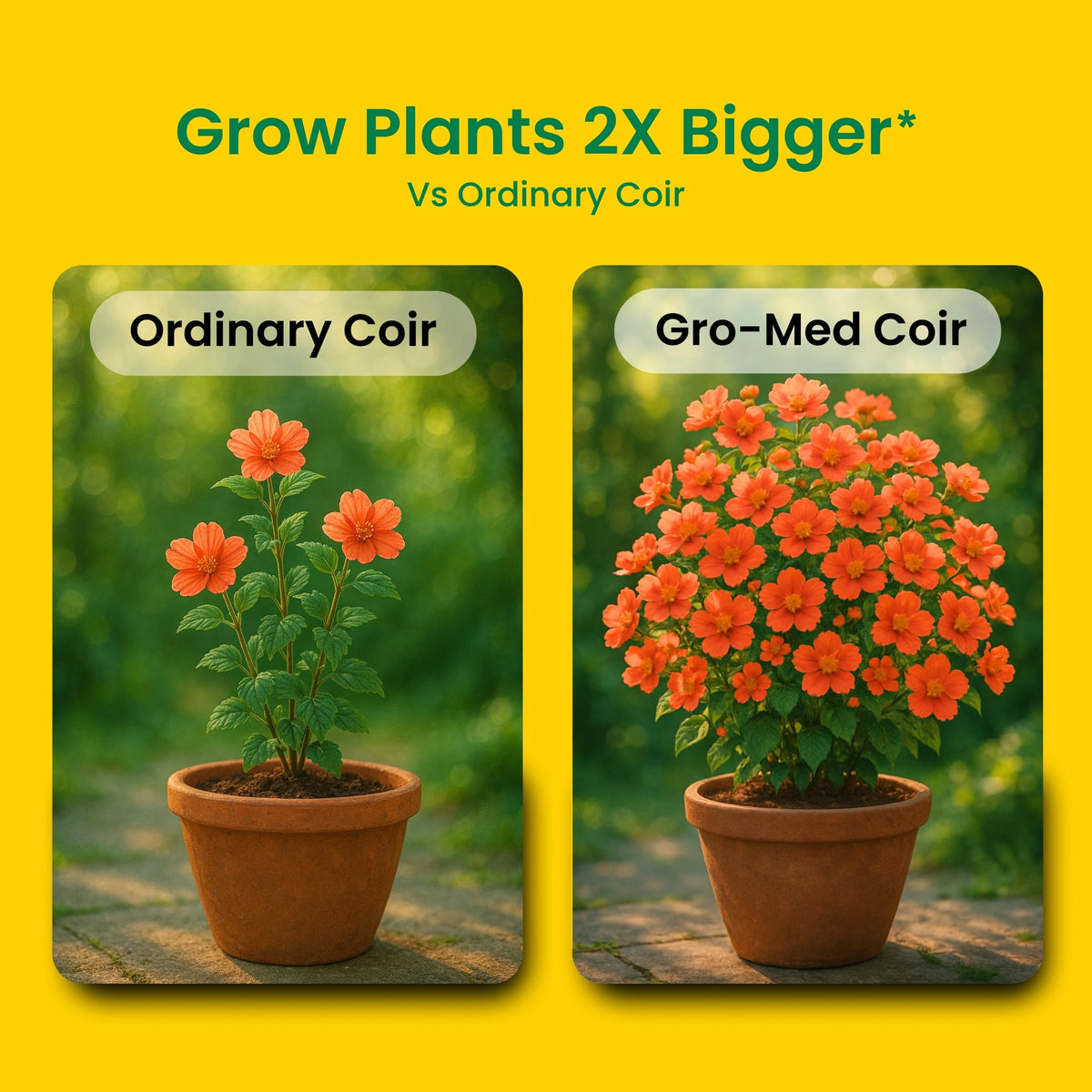 Gro-Med Coco Coir provides 3x water retention for steady hydration.