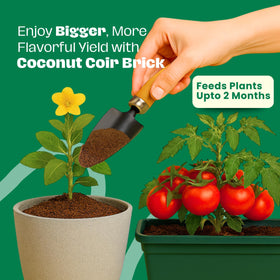 Gro-Med Coco Coir reptile bedding creates safe, comfortable habitats.