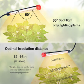 GroCruiser 4Head 36W power in compact table-top design for seedlings.