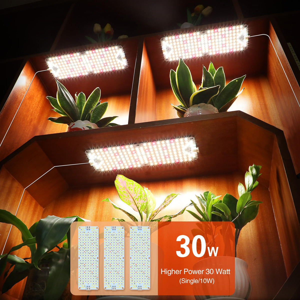 GroCruiser full-spectrum LED irradiation supports even germination and steady growth.