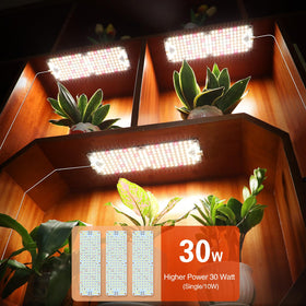 GroCruiser full-spectrum LED irradiation supports even germination and steady growth.
