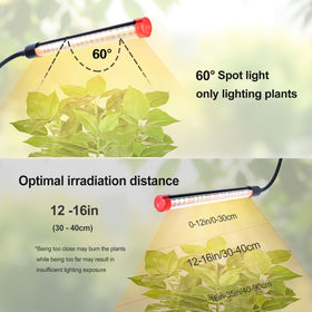 GroCruiser LED close-up highlighting bright array for herbs and succulents