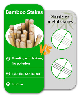 Groovboo 30pcs bamboo stakes bundle ready to deploy in your garden