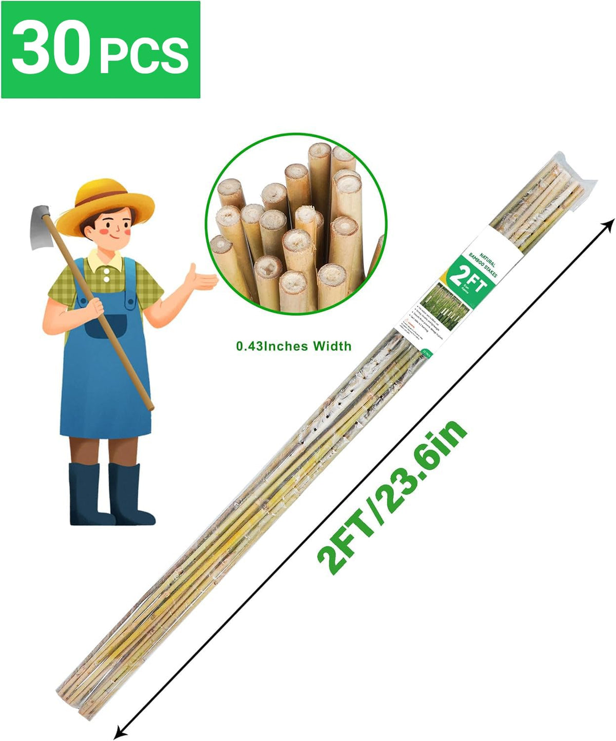 Groovboo bamboo stakes support beans, helping vines climb and stay upright
