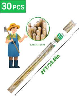 Groovboo bamboo stakes support beans, helping vines climb and stay upright