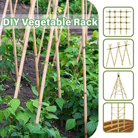 Groovboo stakes guide flowers' stems for neater growth and better exposure