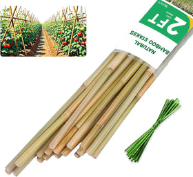 Groovboo bamboo stakes for tomatoes provide sturdy support and upright growth