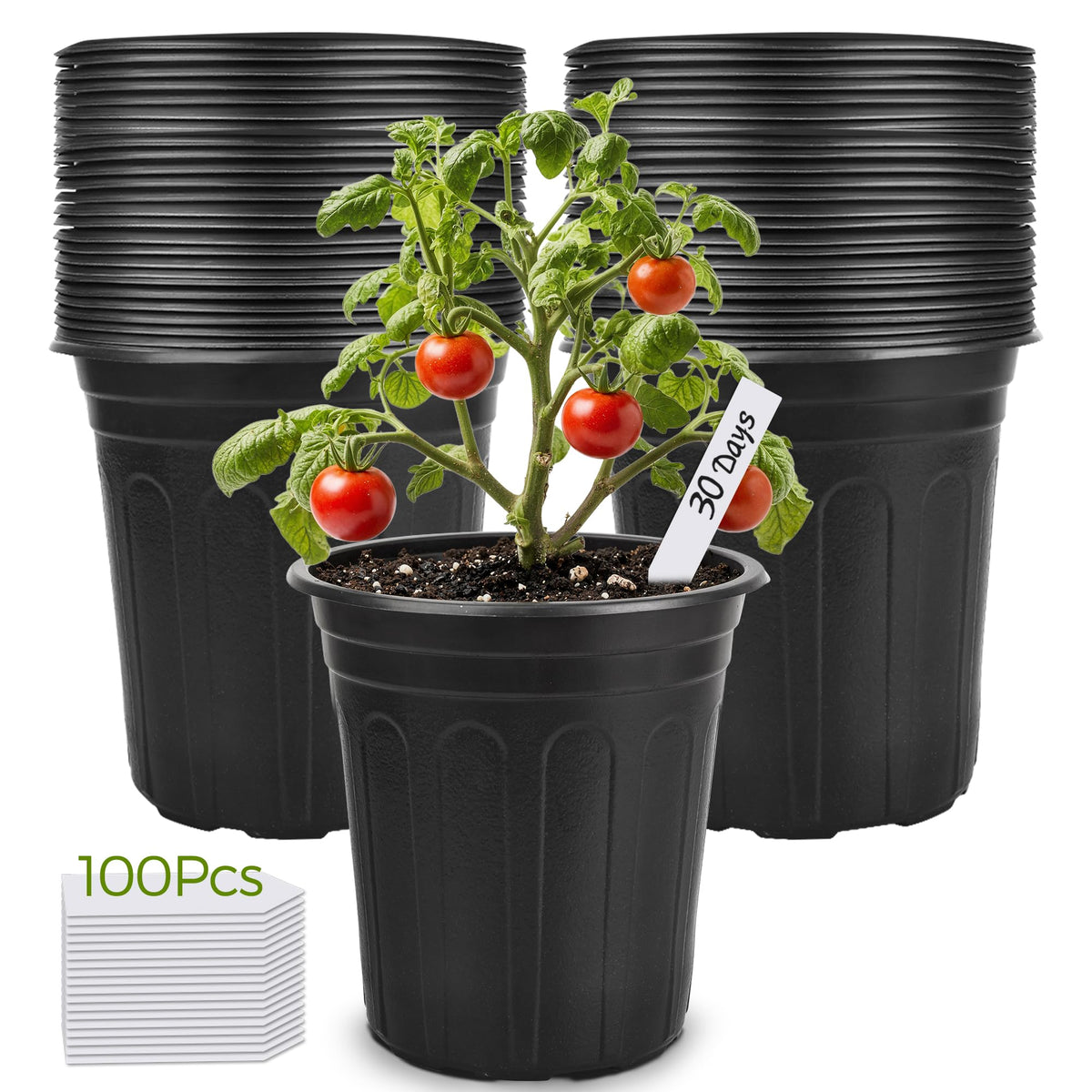 GroTheory 100-pack 1 gallon nursery pots in black for versatile garden starts.