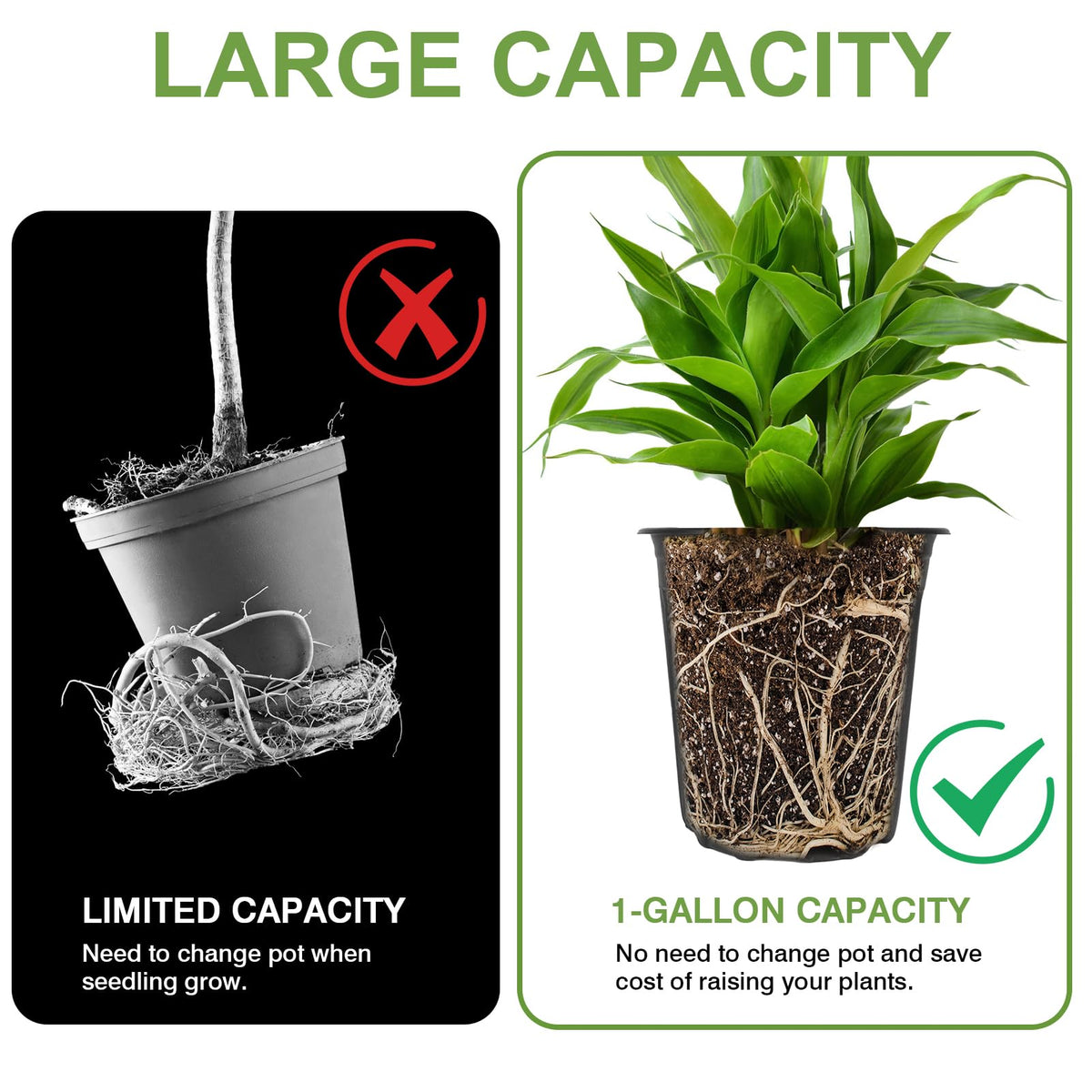 GroTheory bottom drainage holes prevent overwatering and root rot in pots.