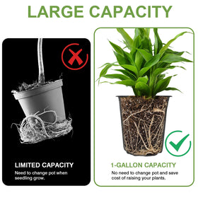 GroTheory bottom drainage holes prevent overwatering and root rot in pots.