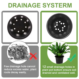 GroTheory seed-starting pots ideal for indoor and outdoor planting setups.