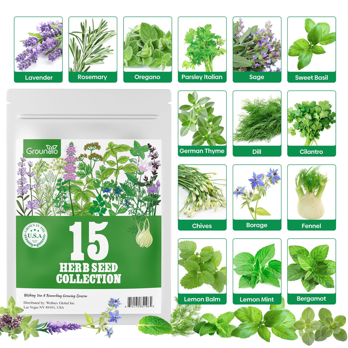 Groundio 15 Herb Seeds Collection ready for indoor or outdoor planting