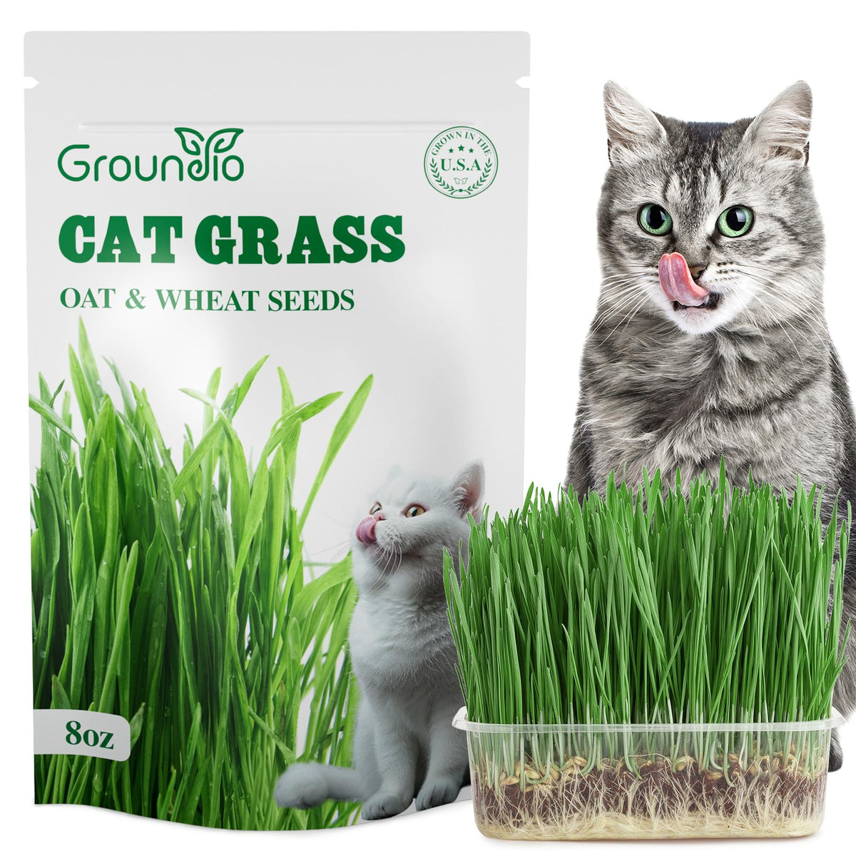Groundio cat grass seeds 8oz bag ready for indoor planting to support digestive health