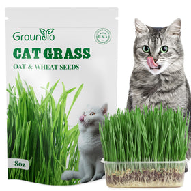 Groundio cat grass seeds 8oz bag ready for indoor planting to support digestive health