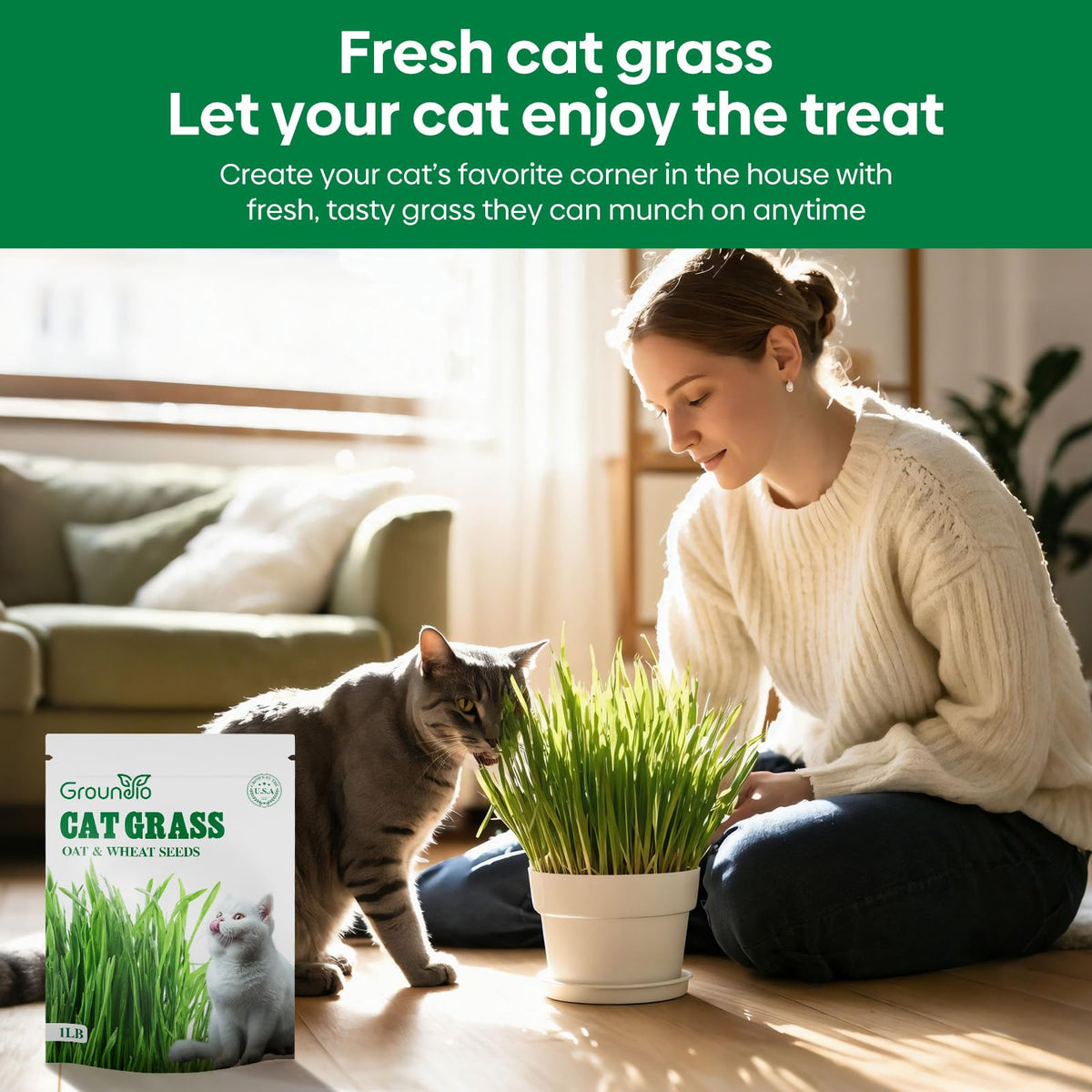 Groundio cat grass seeds sown in soil for easy indoor growth