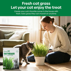Groundio cat grass seeds sown in soil for easy indoor growth