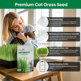 Groundio cat grass being chewed by a cat, a natural nibble option