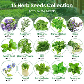 Groundio heirloom seeds pack ideal for fresh kitchen herbs and flavor