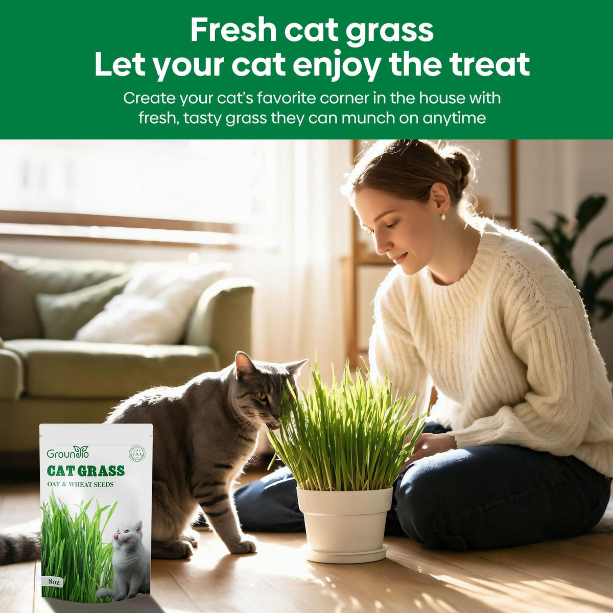 Groundio indoor window sill setup with sunlight for healthy grass