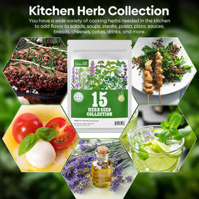 Groundio kitchen herbs batch ready to enrich your cooking with fresh flavors