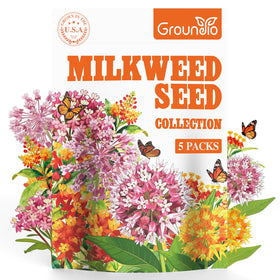 Groundio easy to grow milkweed seeds support pollinators and biodiversity