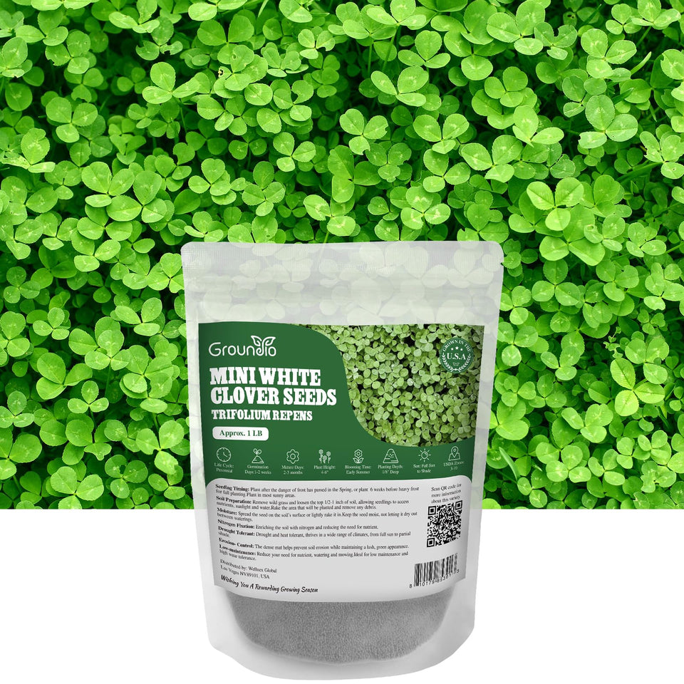 Groundio Mini White Clover Seeds 1lb package for low maintenance ground cover