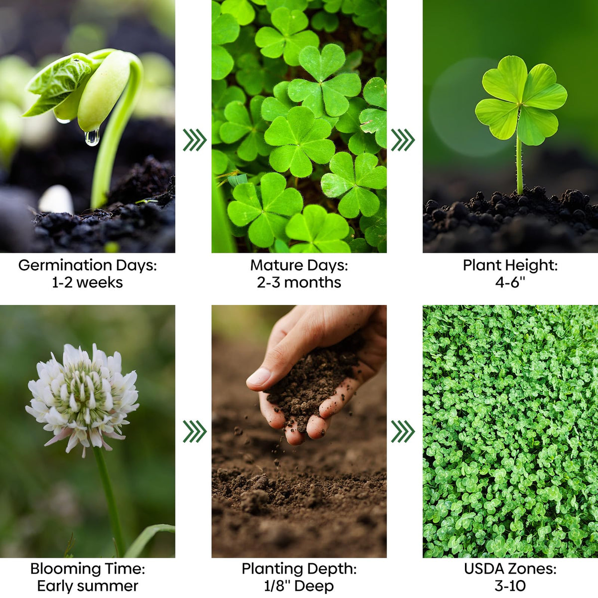 Groundio Clover cover withstands foot traffic for paths and play areas
