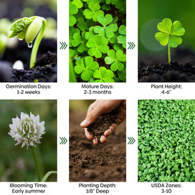 Groundio Clover cover withstands foot traffic for paths and play areas