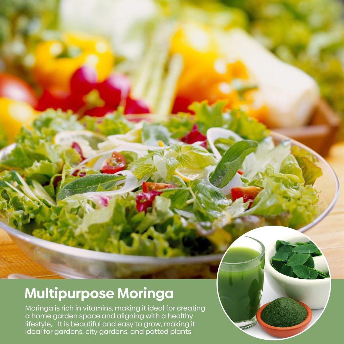 Groundio Moringa seeds depth-plant guidance for 3-5 cm soil placement.