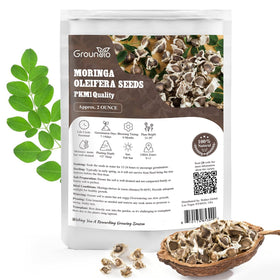 Groundio Moringa seeds pack front, ready to plant for quick germination.