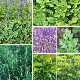 Groundio outdoor herb garden plot ideal for sunny balconies and patios