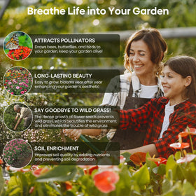 Groundio pollinator-friendly wildflowers for thriving garden ecosystems.