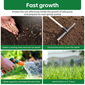 Groundio rye seeds improving soil structure and drainage