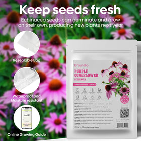 Groundio Seed packaging includes moisture-proof bag and planting guide for success.