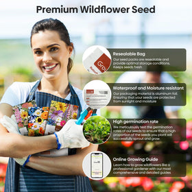 Groundio wildflower seeds with high germination potential for lush beds.