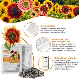 Groundio seeds in moisture-proof packaging with a planting guide included.