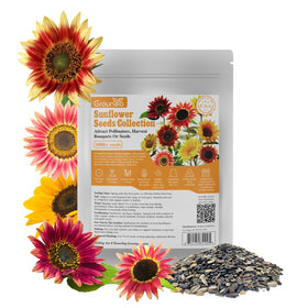 Groundio sunflowers attracting bees and feeding birds in winter.
