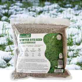 Groundio Winter Rye Seeds bag showing premium non-GMO cover crop for winter lawns