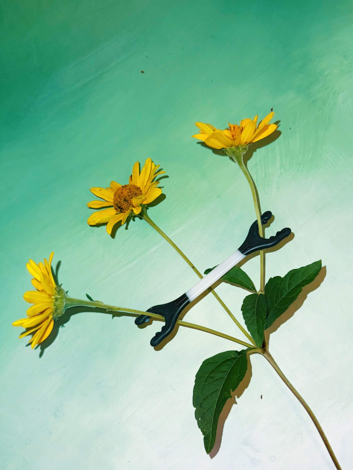Grow Bones drying use case emphasizes maintained openness during hang-drying.