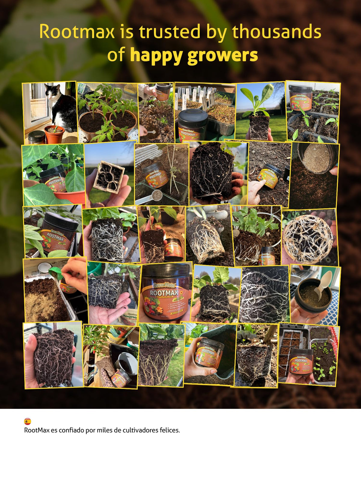 Grow Mate RootMax at planting holes for direct root contact.