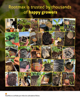 Grow Mate RootMax at planting holes for direct root contact.