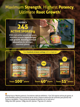 Grow Mate RootMax sprinkled into a soil hole near the base.