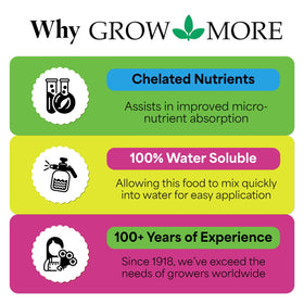 Grow More All-Season Plant Food diluted solution applied to soil around thriving houseplants
