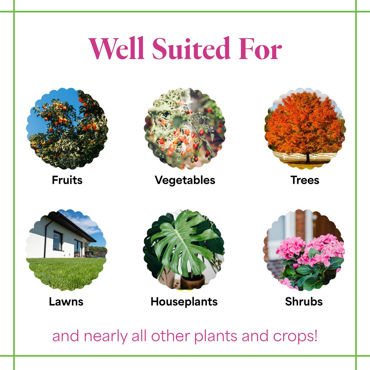 Grow More All-Season Plant Food dissolves in water for quick nutrient delivery.